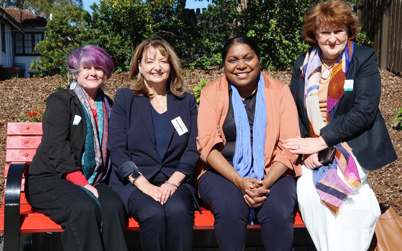 Image of a red bench from the Red Bench Project, in Chermside